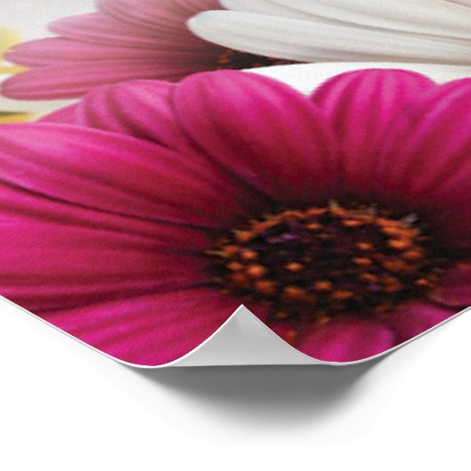 Poster affiche4 (Coin)