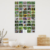 Poster affiche_50 (Cuisine)