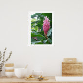 Poster affiche, belle fleur rose en Jamaïque (Cuisine)