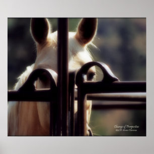 Poster Affiche, changement de perspective, cheval, ferme,