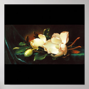 Poster Affiche-Classique/Cru-Martin Johnson Heade 24