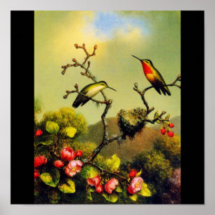 Poster Affiche-Classique/Cru-Martin Johnson Heade 5
