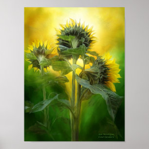 Poster Affiche/copie d'art de croyants de Sun