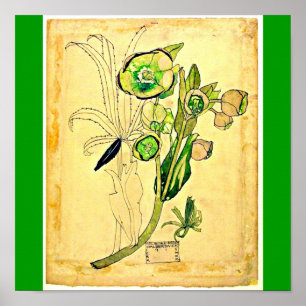 Poster Affiche-Cru-Charles Rennie Mackintosh 21