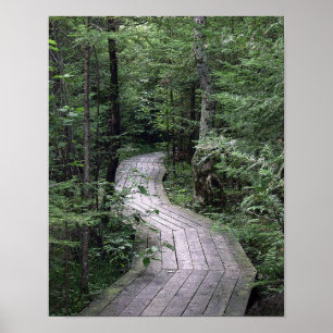 Poster "Affiche de la promenade"