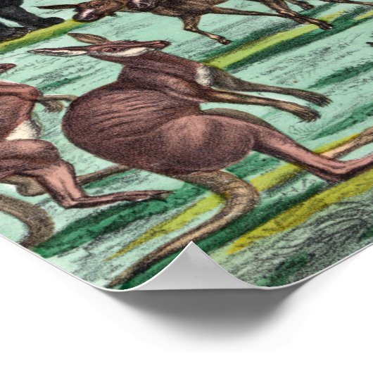 Poster Affiche/impression "Noah's Ark" (Coin)