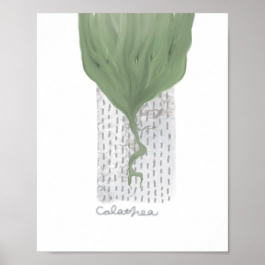 Poster affiche_matte_objet_1_calathea (Devant)