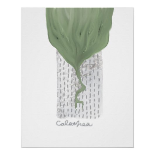 Poster affiche_objet_1_calathea brillante (Devant)