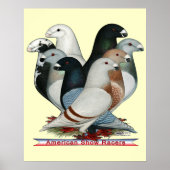 Poster Afficher huit pilotes (Devant)