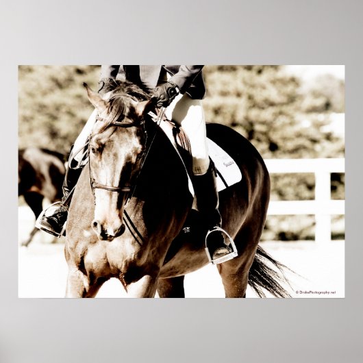 Poster Afficher le cheval (Devant)