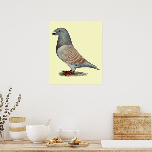 Poster Afficher l'option récessive Racer (Cuisine)