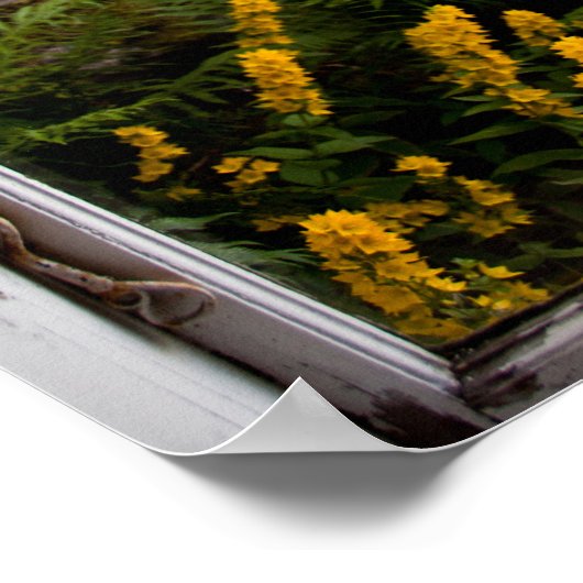 Poster Afficher par l'ancienne fenêtre (Coin)