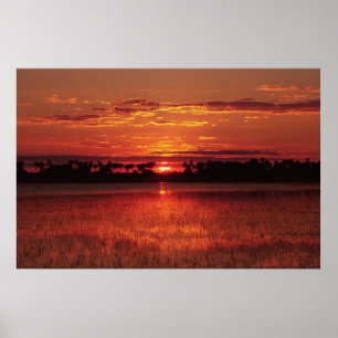 Poster Affiches, copies, images et images africaines de