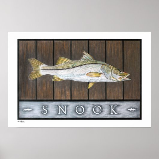 Poster Affiches, imprimés et cadres de Snook (Devant)