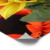 Poster Affiches, SONLEURS # 1 (Coin)