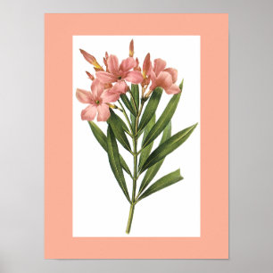 Poster Afficheur vintage 3