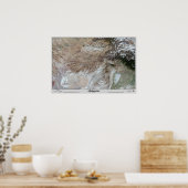 Poster Afghanistan Carte satellite de l'affiche Imprimer  (Cuisine)