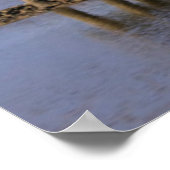 Poster African Bush Elephant (Coin)