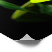 Poster African Daisy Fluorescent Yellow Print (Coin)