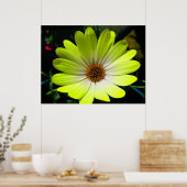 Poster African Daisy Fluorescent Yellow Print (Cuisine)