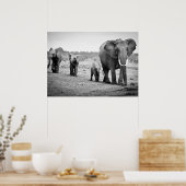 Poster African Elephant & Calves | Kenya (Cuisine)