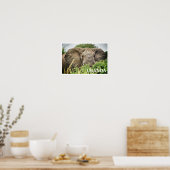 Poster African Elephant, Ouganda (Cuisine)