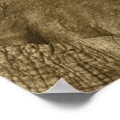 Poster African Elephant poster, impression, image, image (Coin)