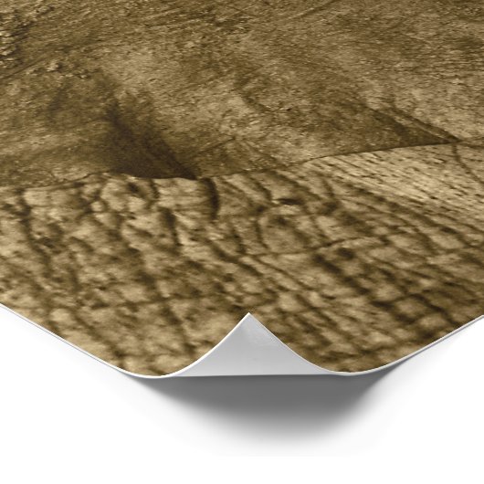 Poster African Elephant poster, impression, image, image (Coin)