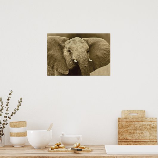 Poster African Elephant poster, impression, image, image (Cuisine)