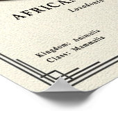 Poster African Elephant Zoology Series (Coin)