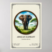 Poster African Elephant Zoology Series (Devant)