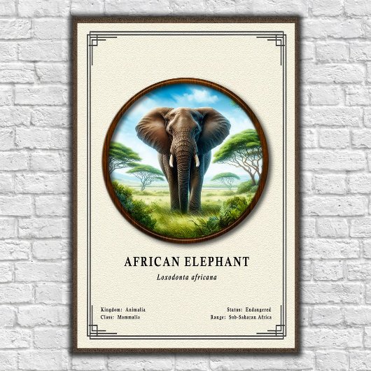 Poster African Elephant Zoology Series