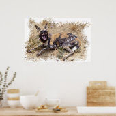 Poster African Wild Dog montre ses dents (Cuisine)