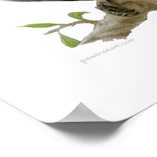 Poster - Afrikaanse grijs (Hoek)