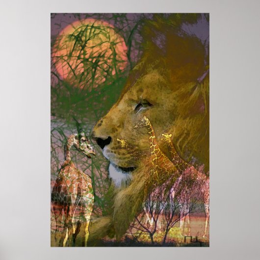 Poster Afrique (Devant)