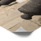 Poster Afrique, Afrique de l'Ouest, Ghana, Elmina. Canons (Coin)