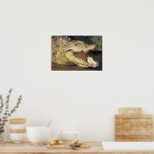 Poster Afrique, Afrique du Sud Crocodile du Nil (Cuisine)