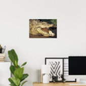 Poster Afrique, Afrique du Sud Crocodile du Nil (Bureau à domicile)