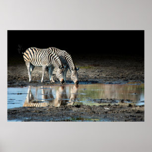Poster Afrique,Botswana, Delta de l'Okavango, Davison Cam