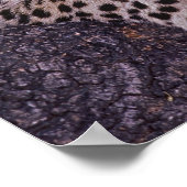 Poster Afrique, Botswana, delta de l'Okvango, léopard sau (Coin)