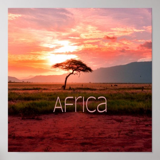 Poster Afrique Coucher de soleil (Devant)