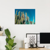 Poster Afrique Désert Cactus Plantes Prickly Pear (Bureau à domicile)