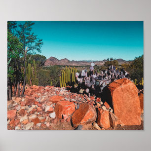 Poster Afrique Désert Paysage Nature Cactus Plante Postc