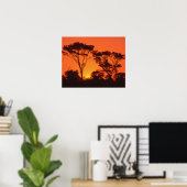 Poster Afrique du Sud. Coucher de soleil africain. (Bureau à domicile)