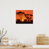Poster Afrique du Sud. Coucher de soleil africain. (Cuisine)