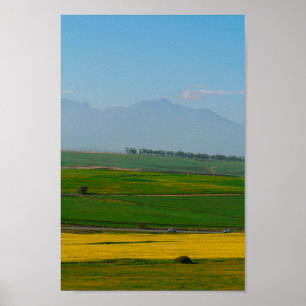 Poster Afrique du Sud Paysage rural Champs de canola N7
