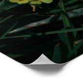 Poster Afrique du Sud Vert Jaune Fleurs indigènes (Coin)