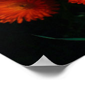 Poster Afrique du Sud Vert Orange Fleurs Succulentes (Coin)