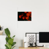 Poster Afrique du Sud Vert Orange Fleurs Succulentes (Bureau à domicile)