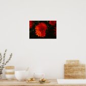 Poster Afrique du Sud Vert Orange Fleurs Succulentes (Cuisine)